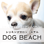 玉島の犬トリミングサロン ドッグビーチ