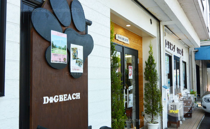 倉敷市玉島の犬トリミングサロン専門店、ドッグビーチ（DOG BEACH）、お店ドア
